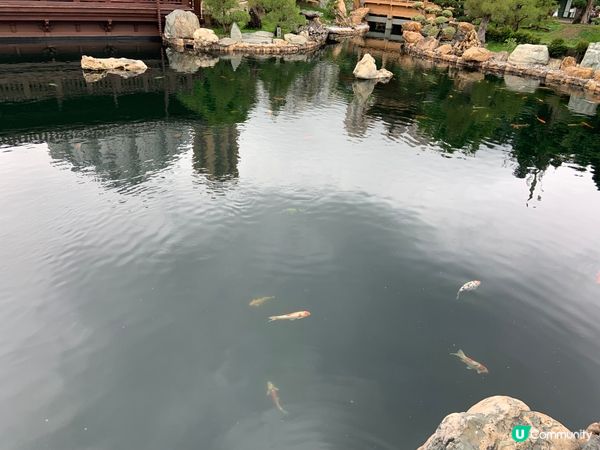 祈福踏春兩不誤，感受市中心的靜謐｜南蓮園池、志蓮淨苑