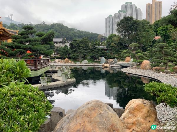 祈福踏春兩不誤，感受市中心的靜謐｜南蓮園池、志蓮淨苑