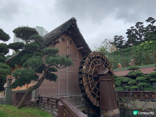 祈福踏春兩不誤，感受市中心的靜謐｜南蓮園池、志蓮淨苑