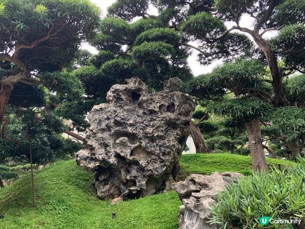 祈福踏春兩不誤，感受市中心的靜謐｜南蓮園池、志蓮淨苑