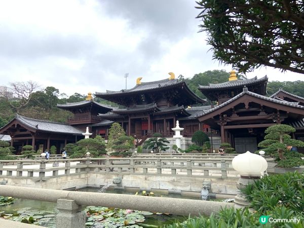 祈福踏春兩不誤，感受市中心的靜謐｜南蓮園池、志蓮淨苑