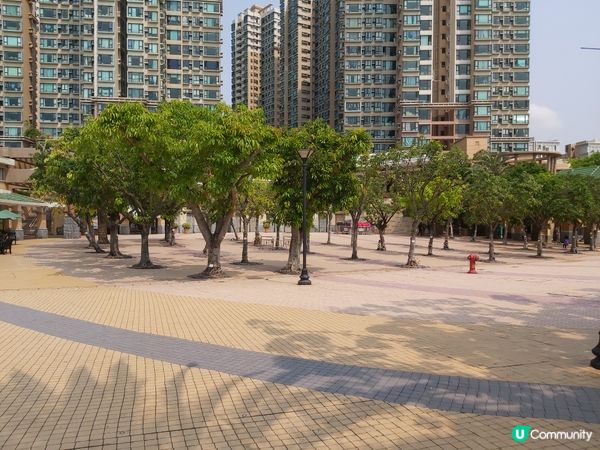 到訪珀麗灣貝殼廣場