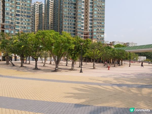 到訪珀麗灣貝殼廣場