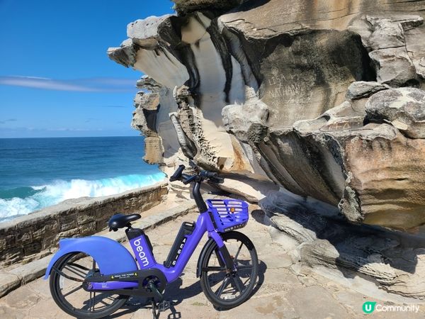 在這個餐廳可以觀賞到Bondi Beach的巨浪，和連接著的...