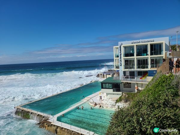 在這個餐廳可以觀賞到Bondi Beach的巨浪，和連接著的...