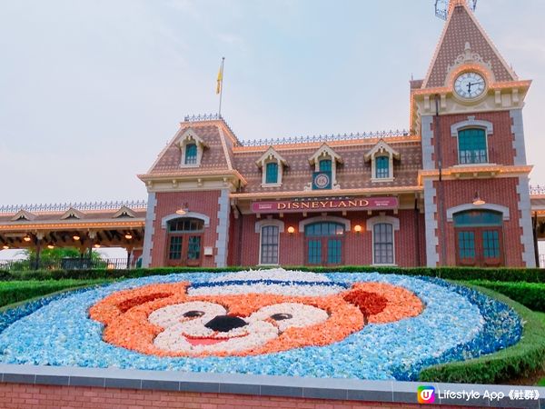 Disneyland dream 