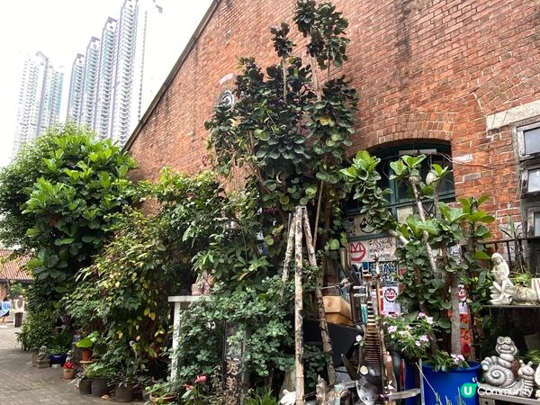 文青氣息滿滿，打卡好去處 ➡️ 牛棚藝術村