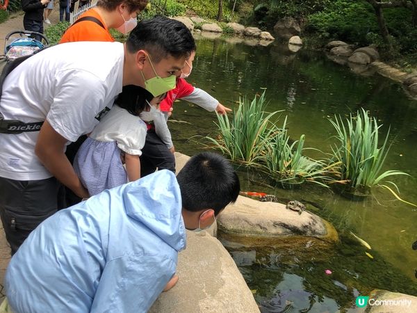 香港公園—— 一個融合大自然和城市景觀的打卡好去處！