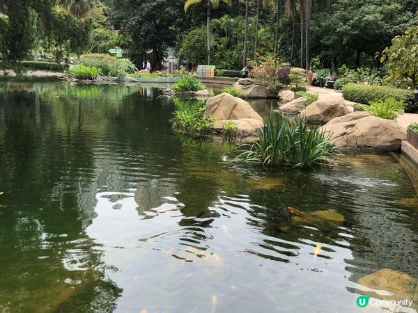 香港公園—— 一個融合大自然和城市景觀的打卡好去處！