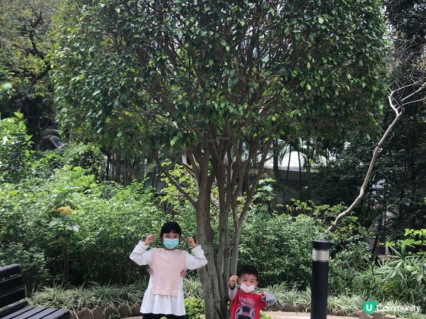 香港公園—— 一個融合大自然和城市景觀的打卡好去處！