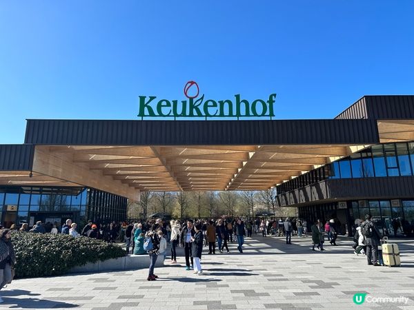 荷蘭🌀鬱金香2023🌷🇳🇱🌷