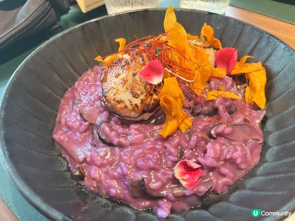 CP值超高⭐️北海道帶子紫薯意大利飯⭐️