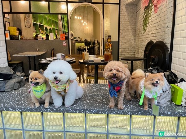 深水埗pet friendly thai food