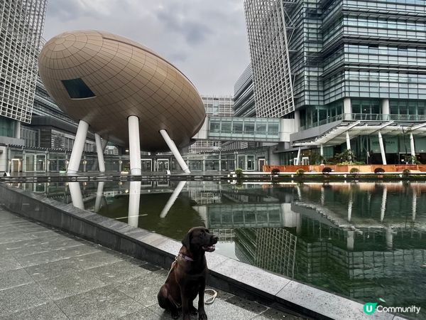 雨後！寵物打卡好去處💕