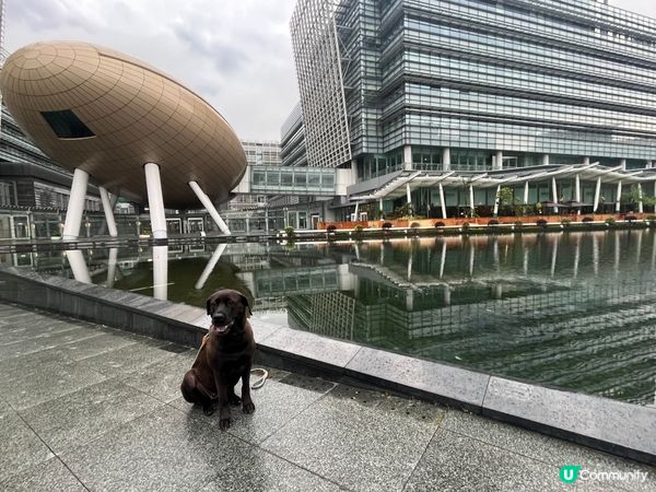 雨後！寵物打卡好去處💕