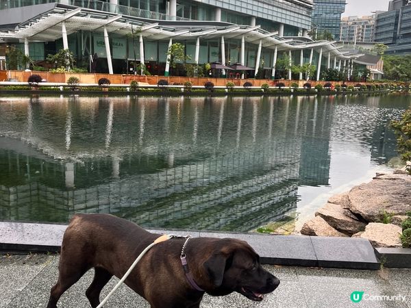 雨後！寵物打卡好去處💕