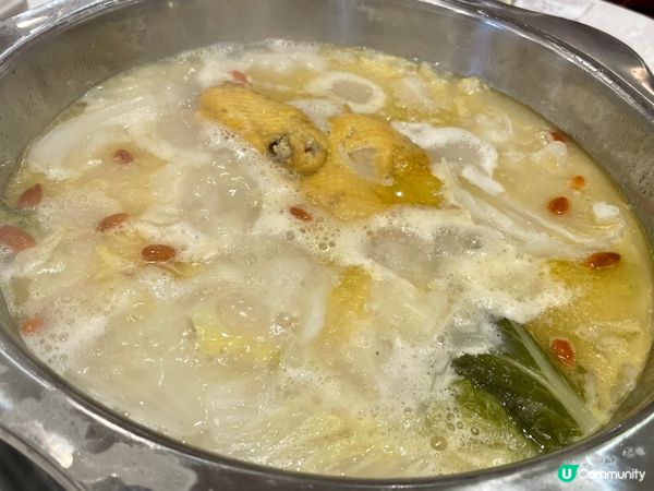 花膠雞煲配脆卜卜的乳豬仔