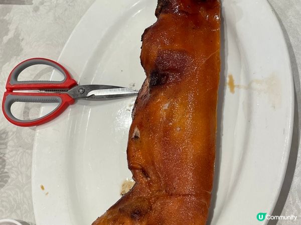 花膠雞煲配脆卜卜的乳豬仔