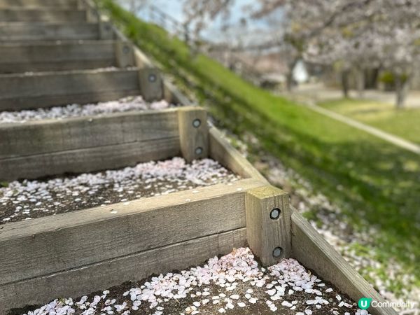 4月尾函館之旅～五稜郭