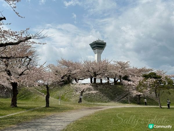 4月尾函館之旅～五稜郭
