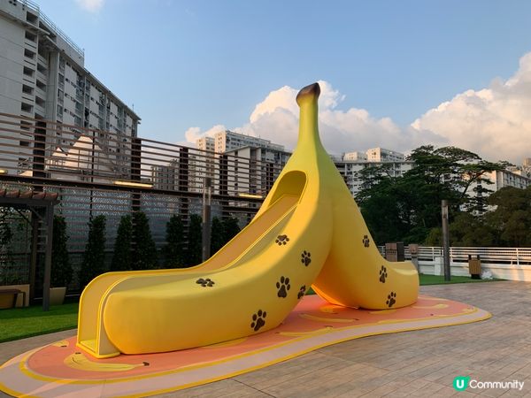 大埔大元商場 最新免費寵物共享樂園