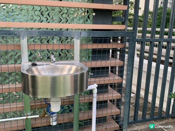 大埔大元商場 最新免費寵物共享樂園