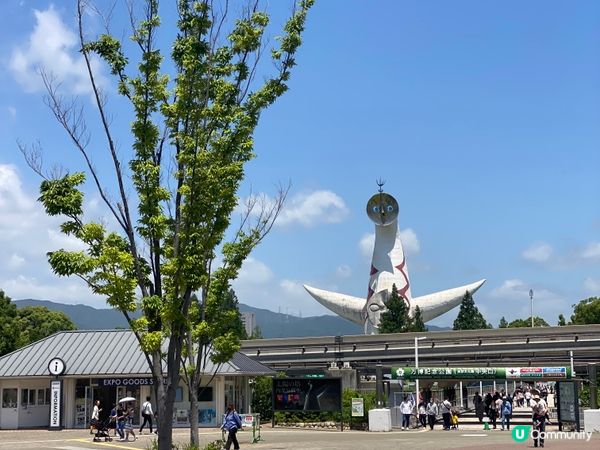 日本之行日本靚景