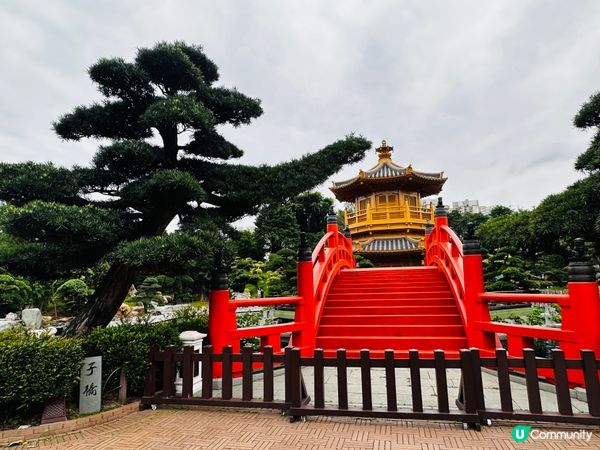 鑽石山深度遊-龍門樓 - 志蓮素齋