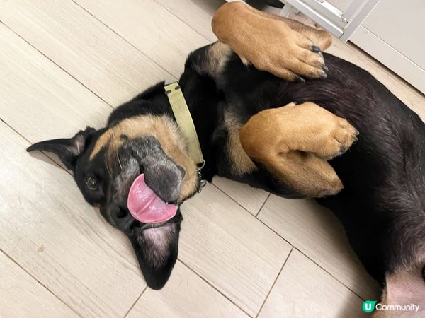 今日先星期二咋、我暈了