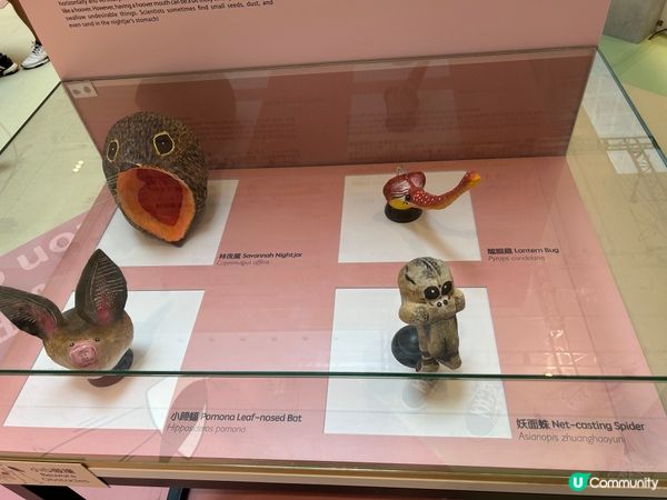 小型嘅展覽都令我增長到唔少知識😆