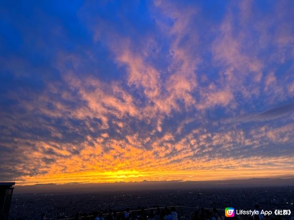 東京必到打卡觀景台-Shibuya sky 