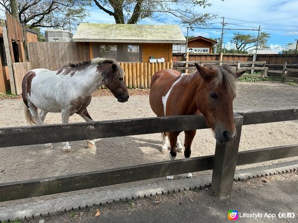 能看富士山🗻 馬飼野牧場🐴🐑🐄