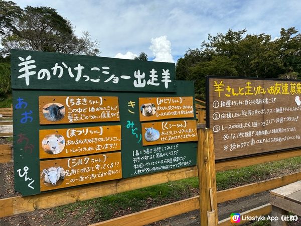 能看富士山🗻 馬飼野牧場🐴🐑🐄