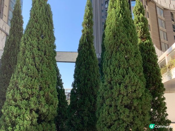 🍂樂在東區📸️👫