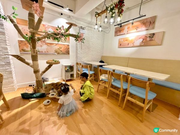 日系親子貓cafe~午餐$58起包飲品及任玩貓貓