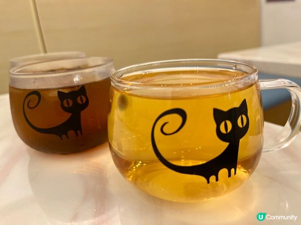 日系親子貓cafe~午餐$58起包飲品及任玩貓貓