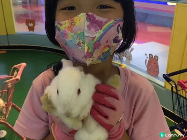 深圳坪山區六和城一天遊
