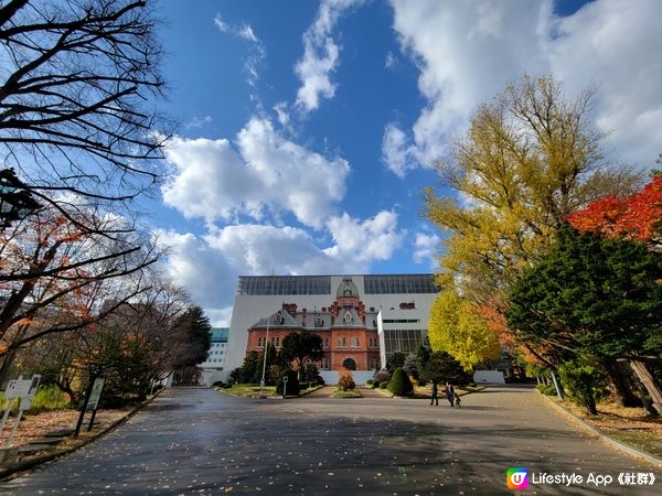 11月秋季旅行