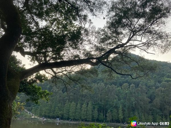 粉嶺流水響