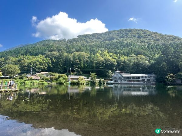 水上鳥居⛩️