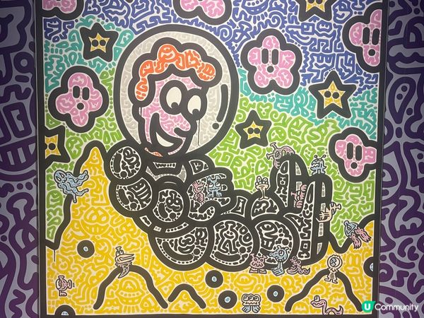 Mr Doodle in the house 