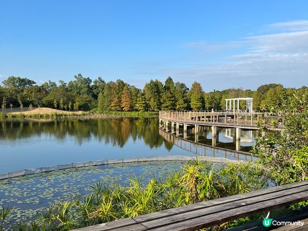 不止大棠 有紅葉落羽松的打卡景點