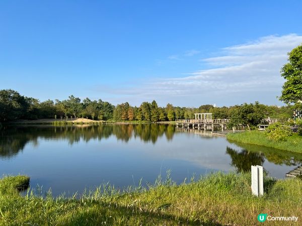 不止大棠 有紅葉落羽松的打卡景點