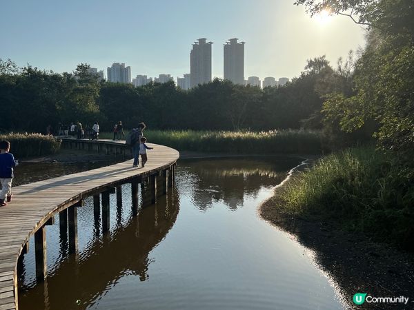 不止大棠 有紅葉落羽松的打卡景點