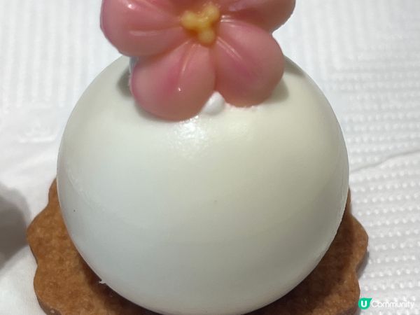 🤶🎄聖誕好去處🥳