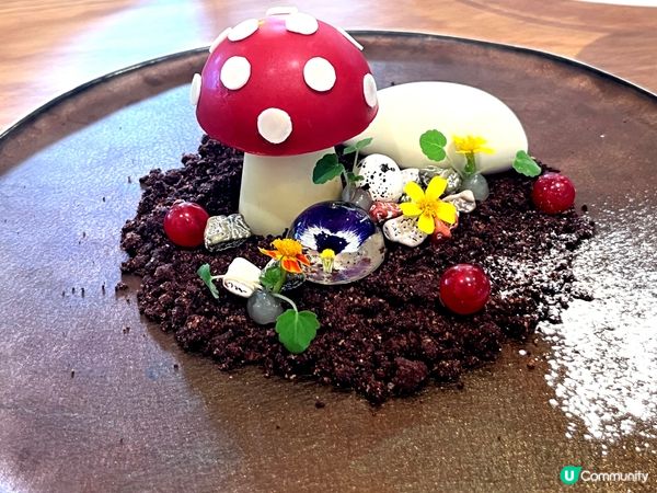 🤶🎄聖誕好去處🥳