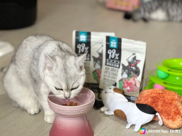 貓🐈胃口大開好辦法！
