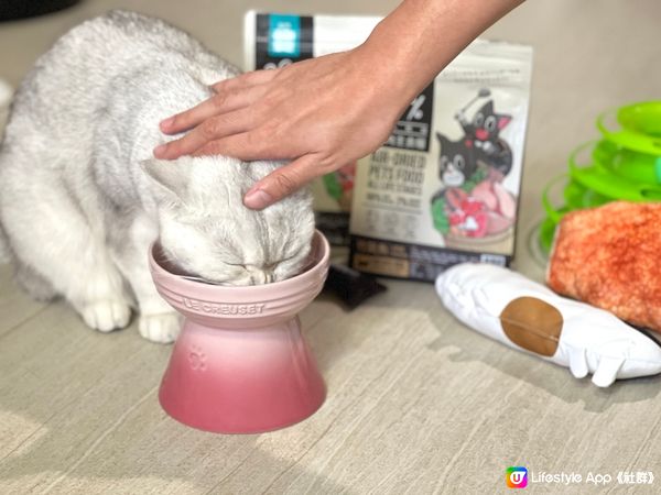 貓🐈胃口大開好辦法！