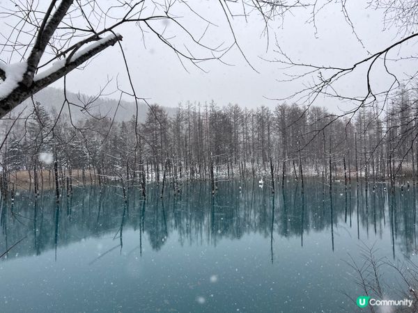 #2023咔嚓-2023日本初雪