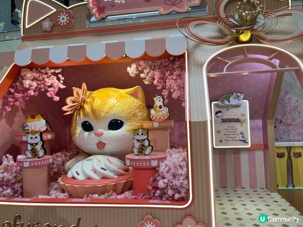 ～貓迷必去打卡熱點～